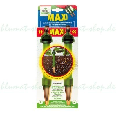 ���-�� ������ MAXI