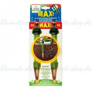 ���-�� ������ MAXI