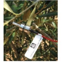 Yara Water-Sensor