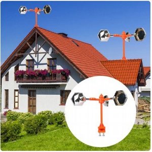 �� ��� + ���������