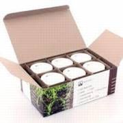 ��  6 ������ ����� 