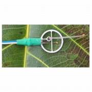 ����� �������� ��� 