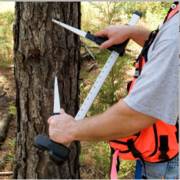 ����� ���  - �����