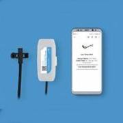 ��� ������ ��� ����� 