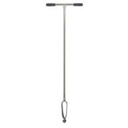 ���� ������  ��� 5 ��