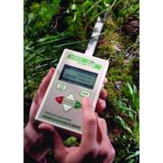 ������ ��� ���� 