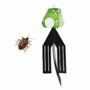 ������� ����� ������