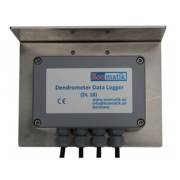 ���� ������ ����