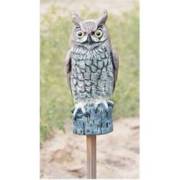 ���� ����� ������ ������� 