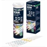 ������ �������  