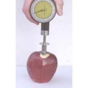 �������� ������ ������� 