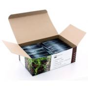 100 ���� ������ �����