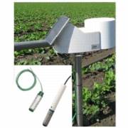 ���� ���� - ���� ���