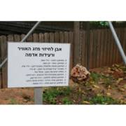 ���� ������ ��� �����