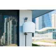 ���� ����� ����� 