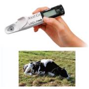 ���� ������ ���� ����� 