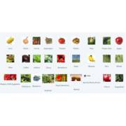 �����  ����� ����� 