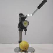 ���� ������ ��������� ���� 