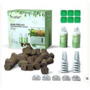 ���� ������ 