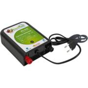 ��� ��� ����� 