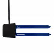 ����� ������ ���� ���� 