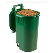 ���� ������ 