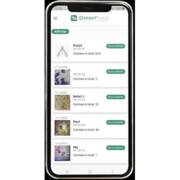 �������� ������ ������ �������