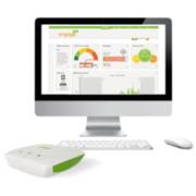 ���� �������