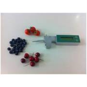 �� ������ ���� ���� 