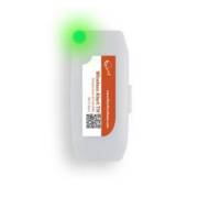 ��� ������ ���/���� �������