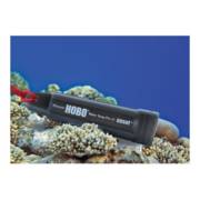 ���� �������� ���� 