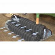 ���� �����