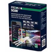 ���� ������� ��� 