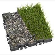 ������ ��� ���� - XTOP