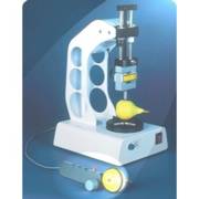 �������� ������ 