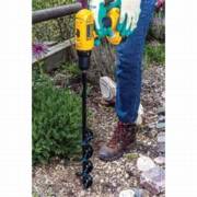 ����� ���� �������� 