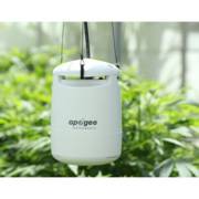 ���� ����� �� �������