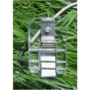 ���� ��� (��)