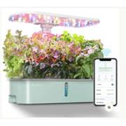 ���� ���� ���������� 