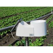 ����-���� - ��� ������� 