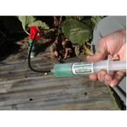 ���� ����� ���� 