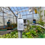 ���� PAR ��� ����� 