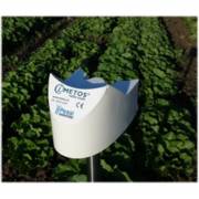 ���� ������� �������